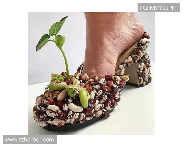 荷兰街头花式足球明星展现独特技艺引领潮流风尚